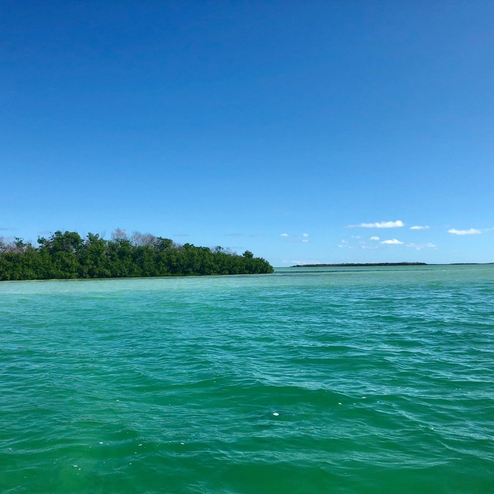 Meet your Posher, Channing